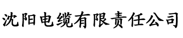 久久精品国产亚洲AV大全电缆厂logo